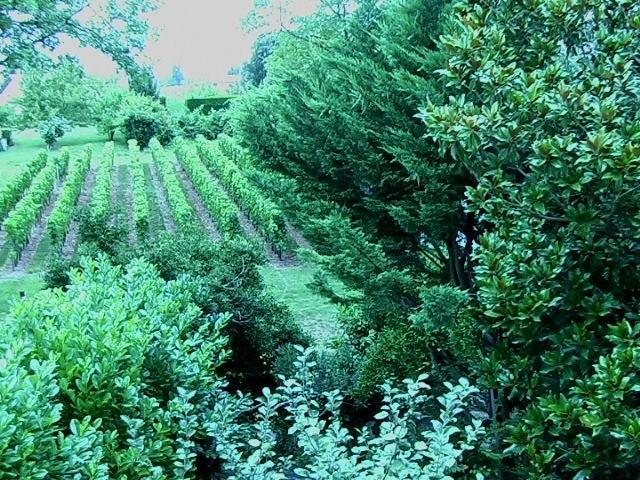 Les Id De Saint Emilion Bed & Breakfast Exterior foto